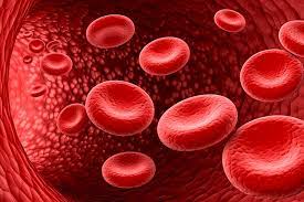 Thrombocytopenia Market Epidemiology Report by IMARC Group