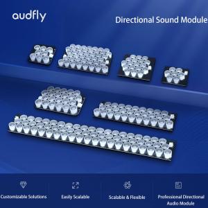 Audfly Alpha series directional audio modules in multiple sizes, designed for seamless integration into kiosks, terminals, and smart devices.