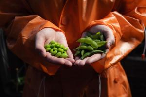 BrightBio® material innovation inspired by nature, developed near the Arctic Circle in Finland.