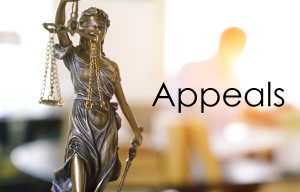 ExposeIQ Appeals Litigation Analytics