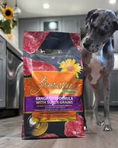 Zignature Select Cuts with Super Grains Kangaroo Formula, gray dog, sunflower