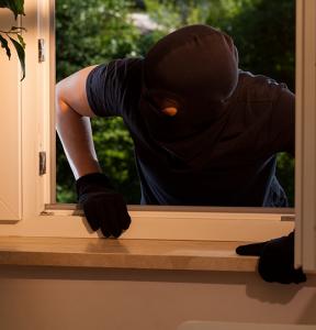 Theft Vandalism