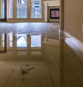 Flood Water Damage