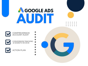 Zabi Niazi providing expert Google Ads account audit services