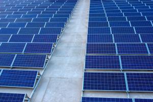 Rows of solar panels