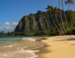 Lokahi Longevity beach shot