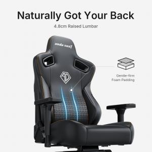 Kaiser 3 E Feature 2