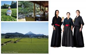 Gozen plantation in Kagoshima Japan