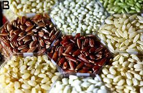 Global Seed Treatment Market