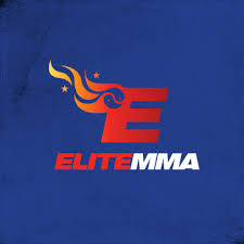 Elite MMA Logo - Houston Mixed Martial Arts Gym
