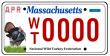 Massachusetts Wild Turkey License Plate Project Update
