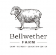 Bellwether Farm Welcomes Two New Farm Managers to Lead Its Regenerative Agriculture Program