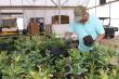 Everglades Farm Shares Early Spring Planting Tips  for Fruit Trees and Container Gardens