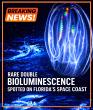 Rare Double Bioluminescence Lights Up Florida’s Space Coast Near Orlando