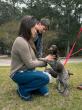 Off Leash K9 Training 30A Featured in Local News: Raising the Standard of Dog Obedience Training in Santa Rosa Beach