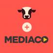 MediaCo Selects Ribeye to Power Unified Monetization Across Its Multiplatform Portfolio