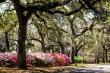 Sweet Treats & Spooky Streets: Savannah’s Haunted Donut Tour After Dark Is Frightfully Fun for All Ages