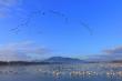 Niigata City to host first Ramsar wetland mayors summit in Japan