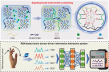 Branched web makes hydrogel sensors tougher for Morse-code interaction