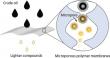 Tiny polymer pores could point to a lower-energy future for oil refining