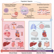 New framework rethinks high-altitude medicine as a whole-body hypoxia problem