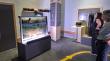 mikroVERSUM - the world of microbes more exciting than the travel to Mars
