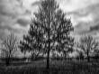 Antonina Minova Explores Black and White ICM Photography Through Structure, Contrast, and Abstract Form