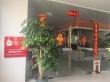 Guangdong BFC Technology Expands Industrial Export Solutions for South American Markets