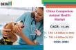 China Companion Animal Health Market to Reach $3.7Billion by 2031 |Demand Fueled by Urbanization & Preventive Healthcare