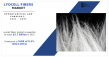 A Key Growth Driver for Lyocell Fibers Market, Trends and Forecast, 2031