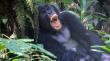 Let’s Go Travel: Uganda’s only 20/20 safari tour operator