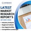 Luxury Concierge Service Market to See Booming Growth 2025-2032 | John Paul Group, Luxury Concierge Services