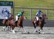 International Arena Polo Semi-Finals Include France, Argentina, Guatemala and USA