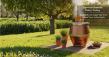 Tandoor Morni launches premium copper clay oven for authentic Punjabi outdoor cooking in Canada