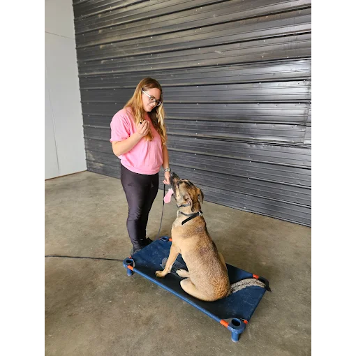 Dover Dog Training Company Helps Owners Address Leash Pulling, Jumping ...