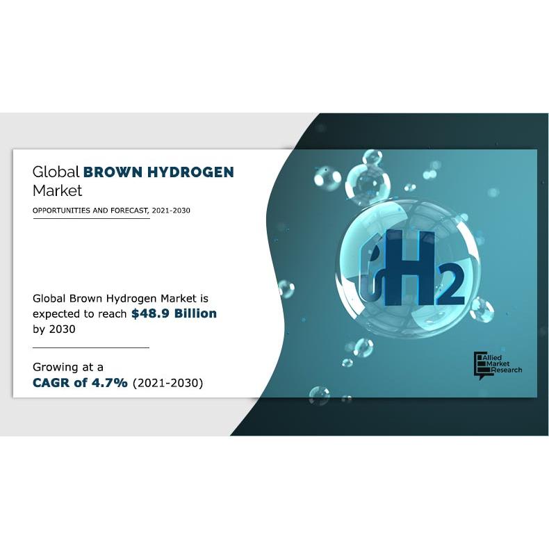 Rising Demand and Opportunities in the Brown Hydrogen Market