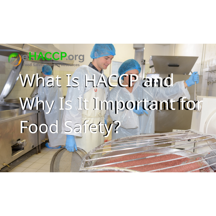 HACCP Training and Certification: Managing Risk in Food Preparation