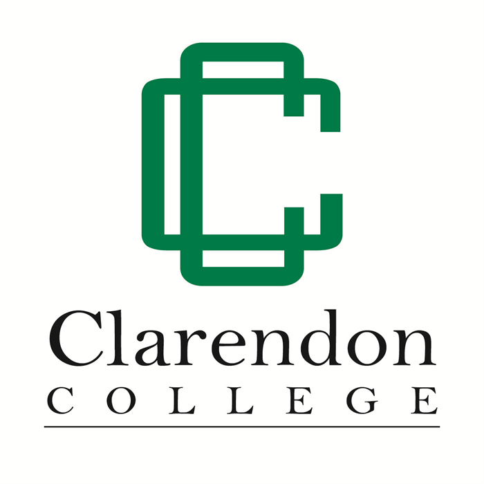 Clarendon College Chooses Thesis Elements to Propel Institutional ...