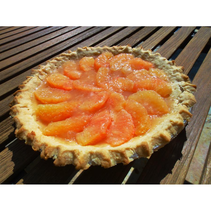 Chef and Filmmaker Adán Medrano Shares Recipe for Grapefruit Pie ...