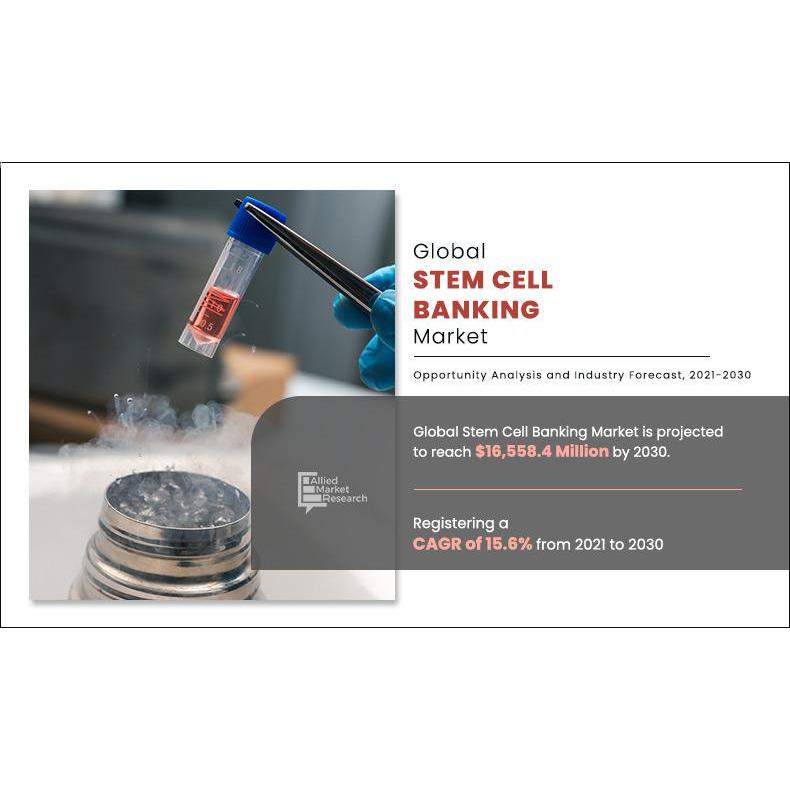 Stem Cell Banking Market Size Projected to Reach USD 16.55 Billion ...