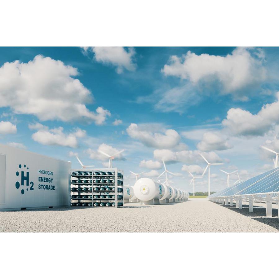 Unleashing the Potential: Hydrogen Energy Storage Market Insights