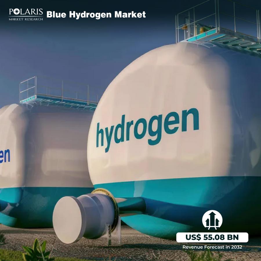 Blue Hydrogen Market: Addressing the Global Energy Transition