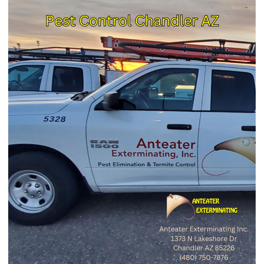 Anteater Exterminating Inc. Marks 30 Years of Exceptional Pest Control Services