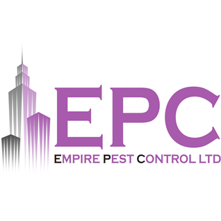 Empire Pest Control Leads the Way in Professional Pest Control Across London